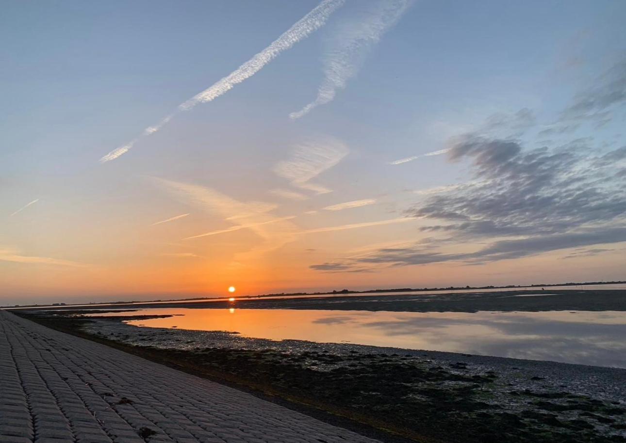 Vakantiewoning De Bosrand Aan Zee Sint Annaland Exteriör bild
