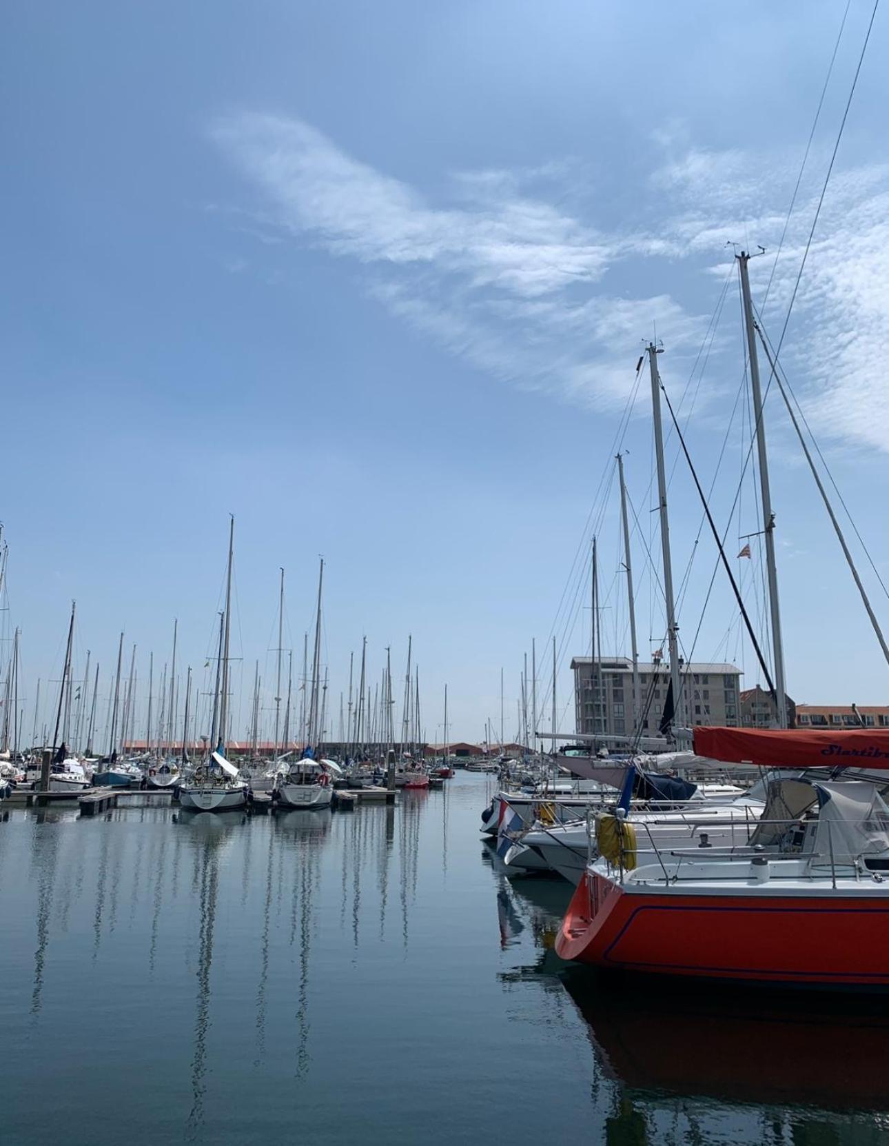 Vakantiewoning De Bosrand Aan Zee Sint Annaland Exteriör bild