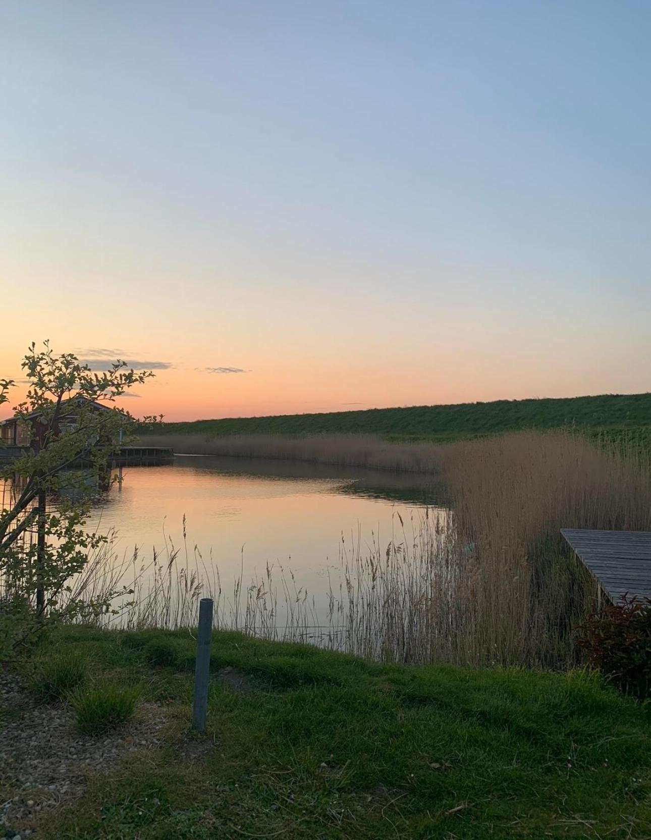 Vakantiewoning De Bosrand Aan Zee Sint Annaland Exteriör bild