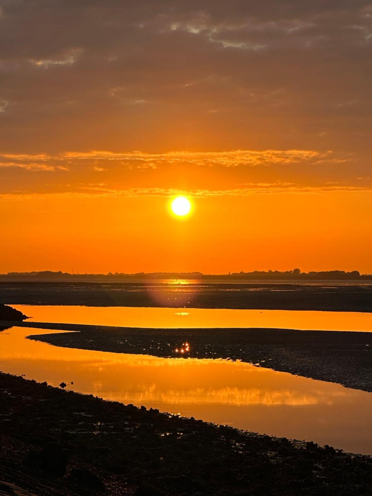 Vakantiewoning De Bosrand Aan Zee Sint Annaland Exteriör bild
