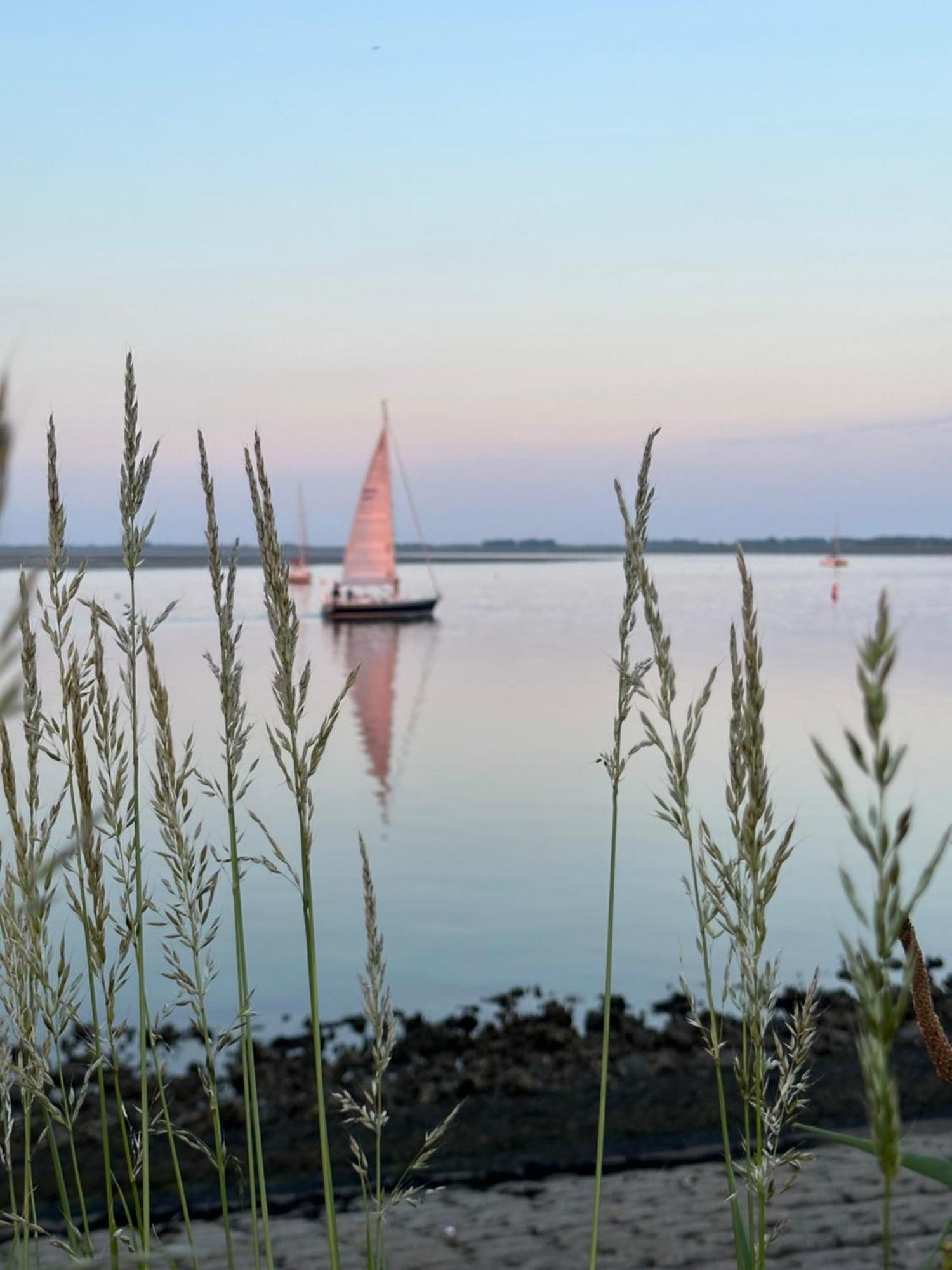 Vakantiewoning De Bosrand Aan Zee Sint Annaland Exteriör bild