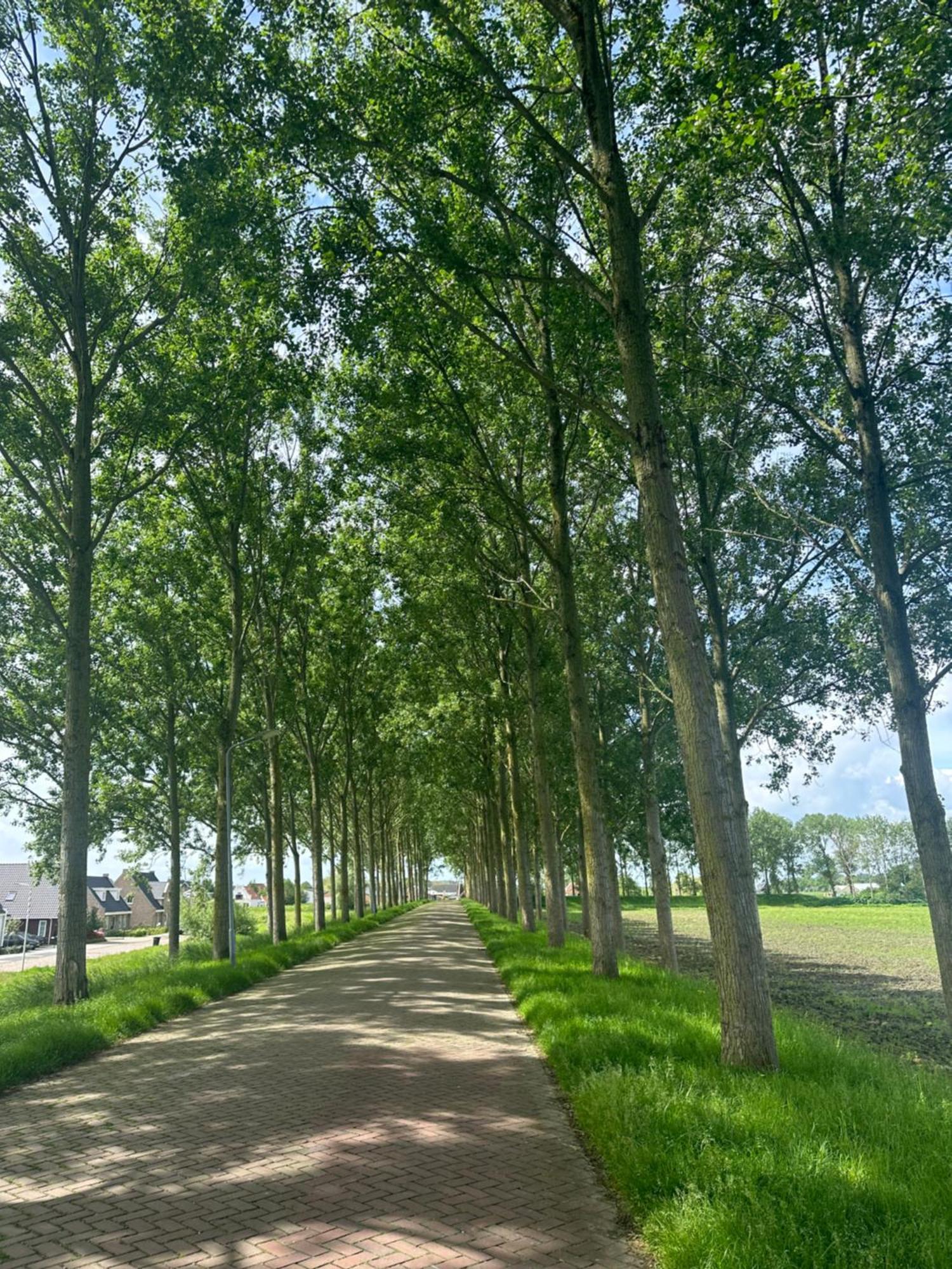 Vakantiewoning De Bosrand Aan Zee Sint Annaland Exteriör bild